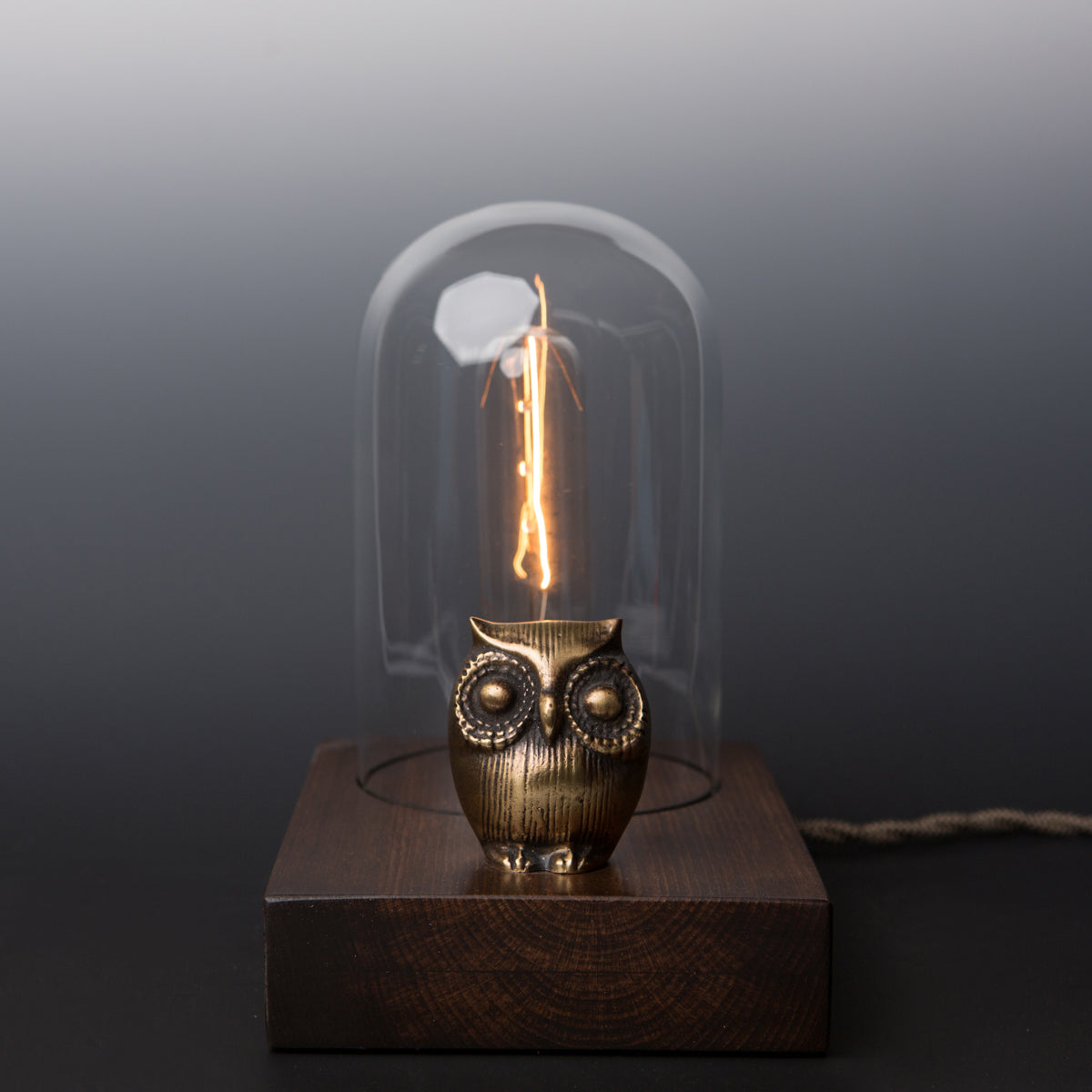 Owl Edison 'Touch Sensor' Lamp